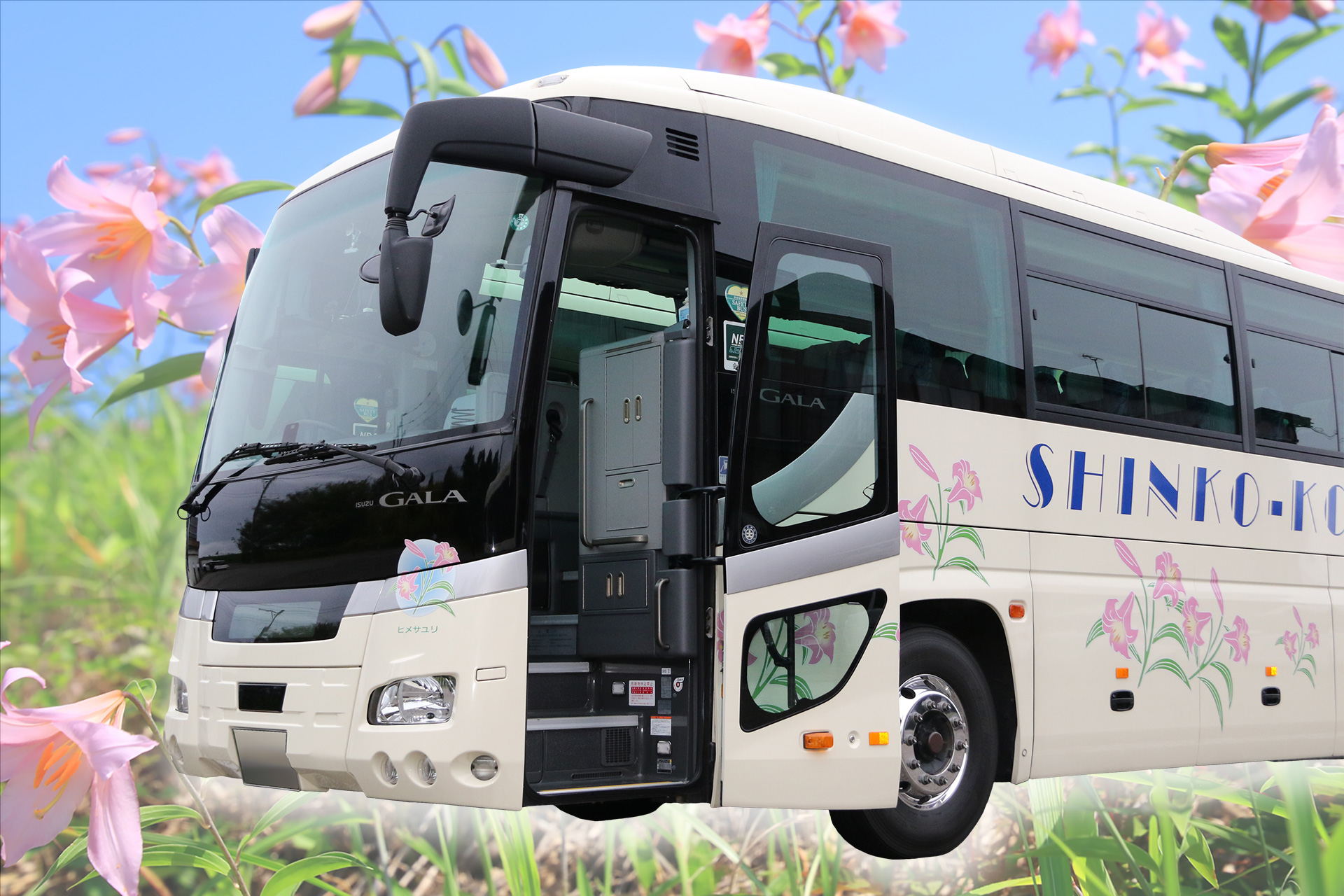 大型バスの外観