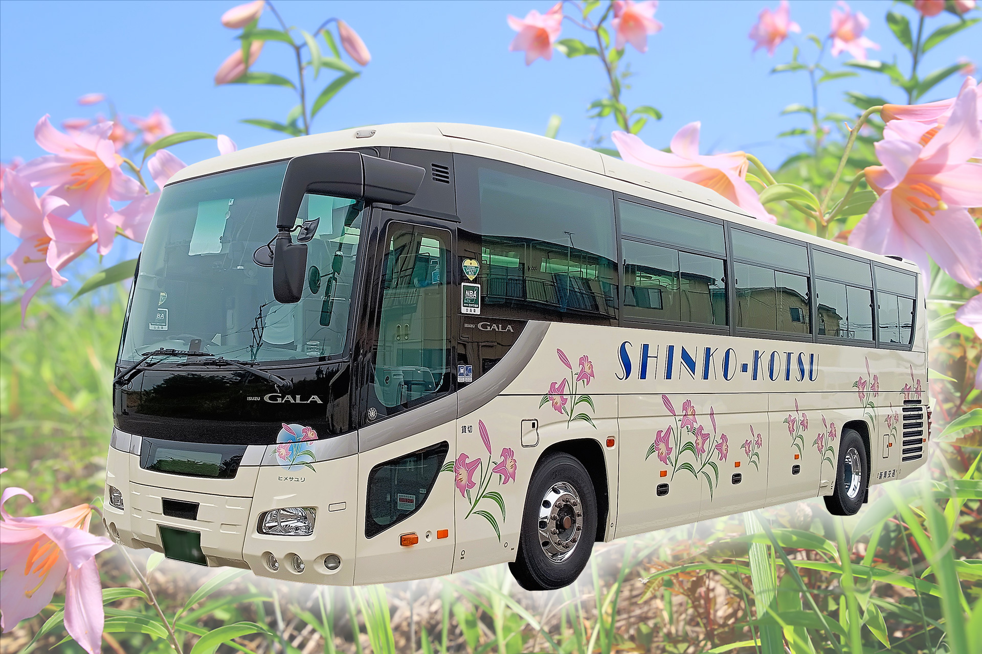 大型バスの外観