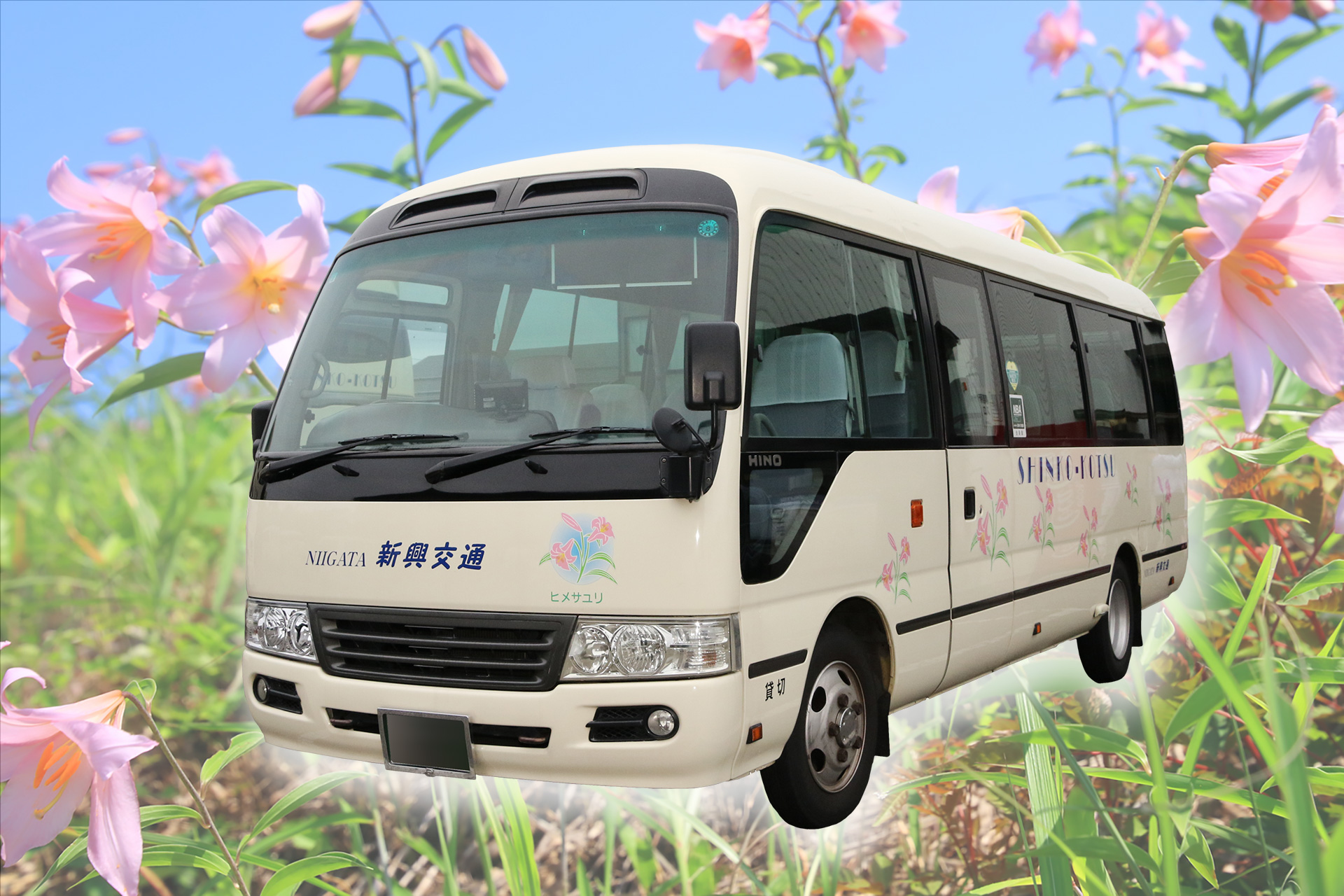 マイクロバス（28人乗り）の外観