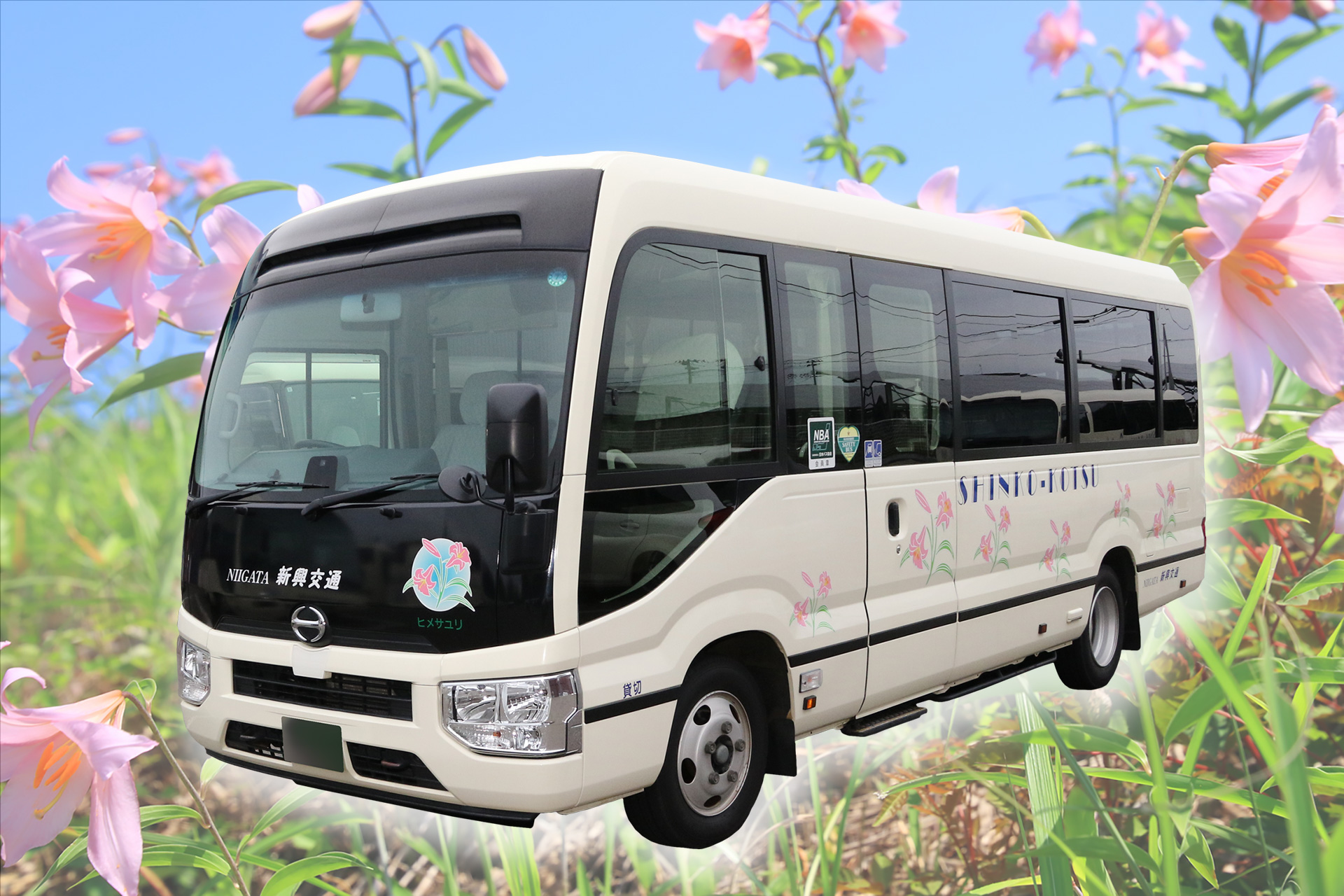 マイクロバス（27人乗り）の外観