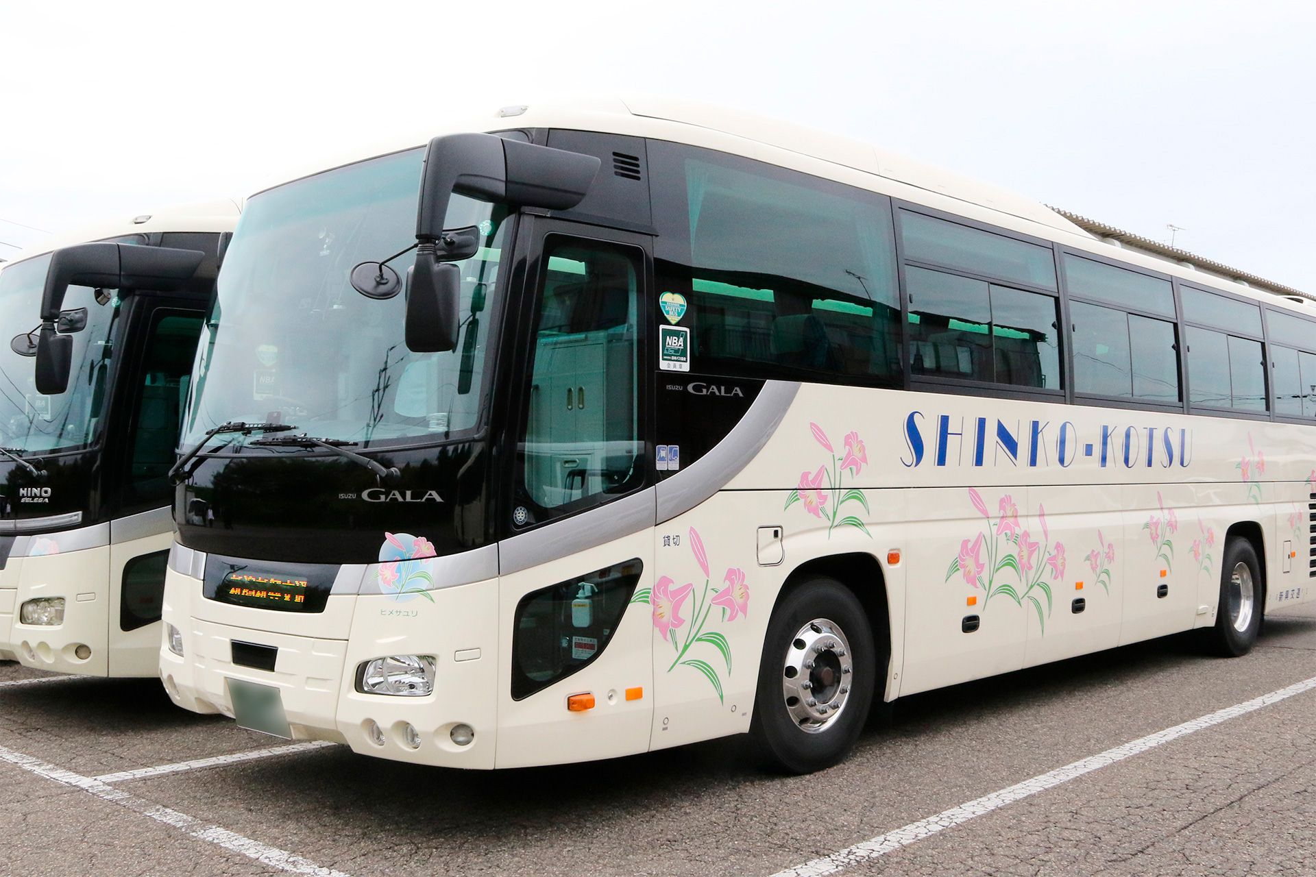 新興交通バス画像