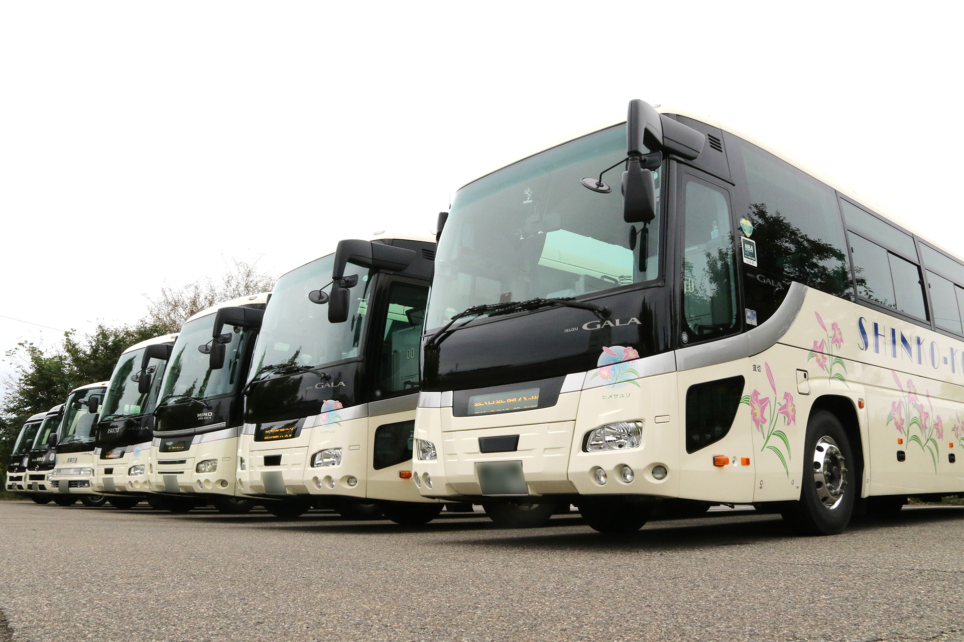 新興交通バス画像