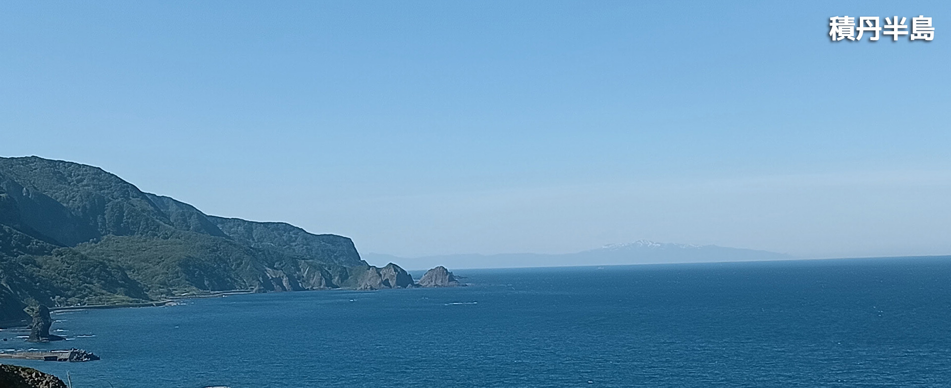 大型バスNo.1の後方座席